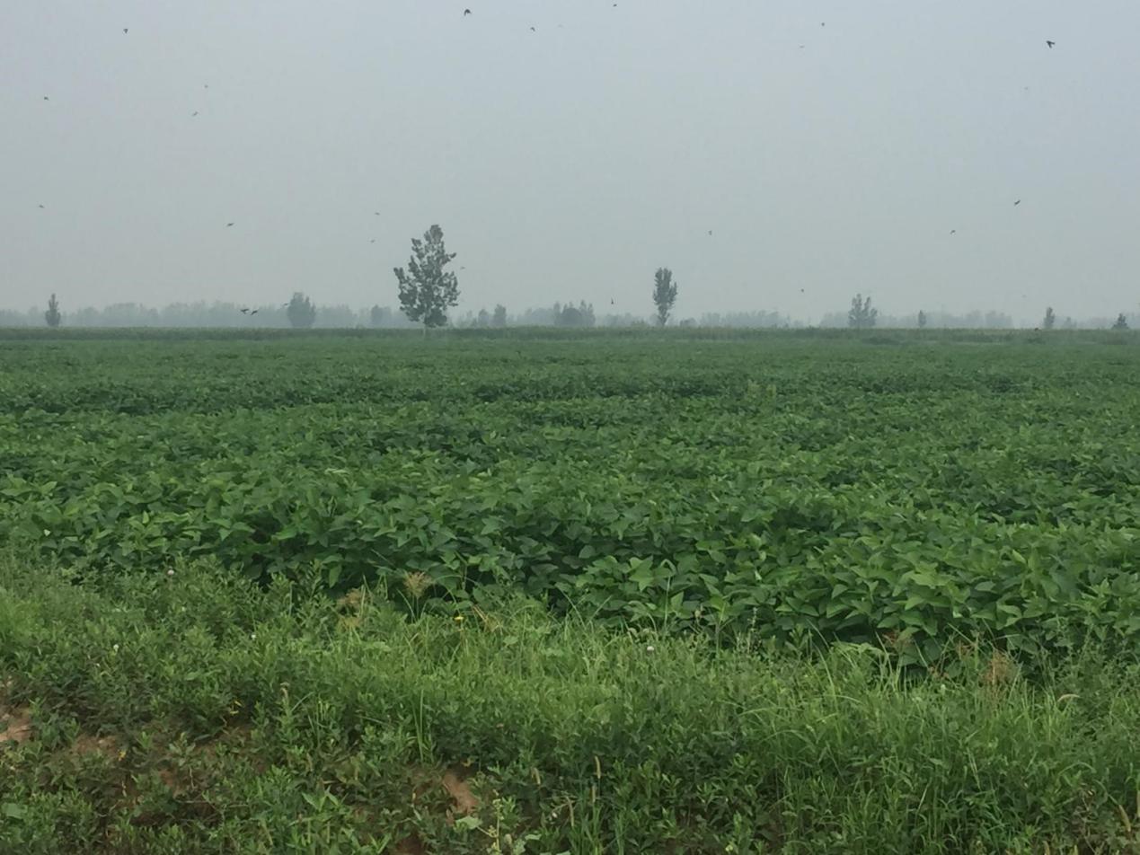 厚植高质量扶贫之路 昌盛日电让脱贫见实效