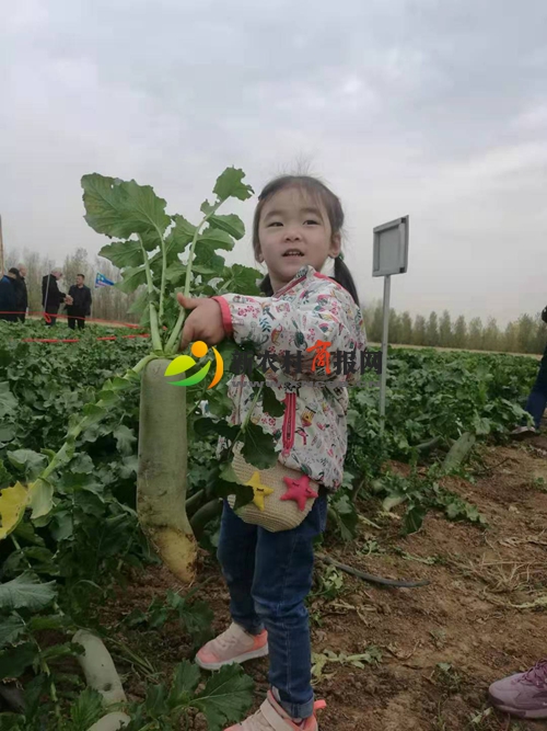 微信图片_20191103181111.jpg