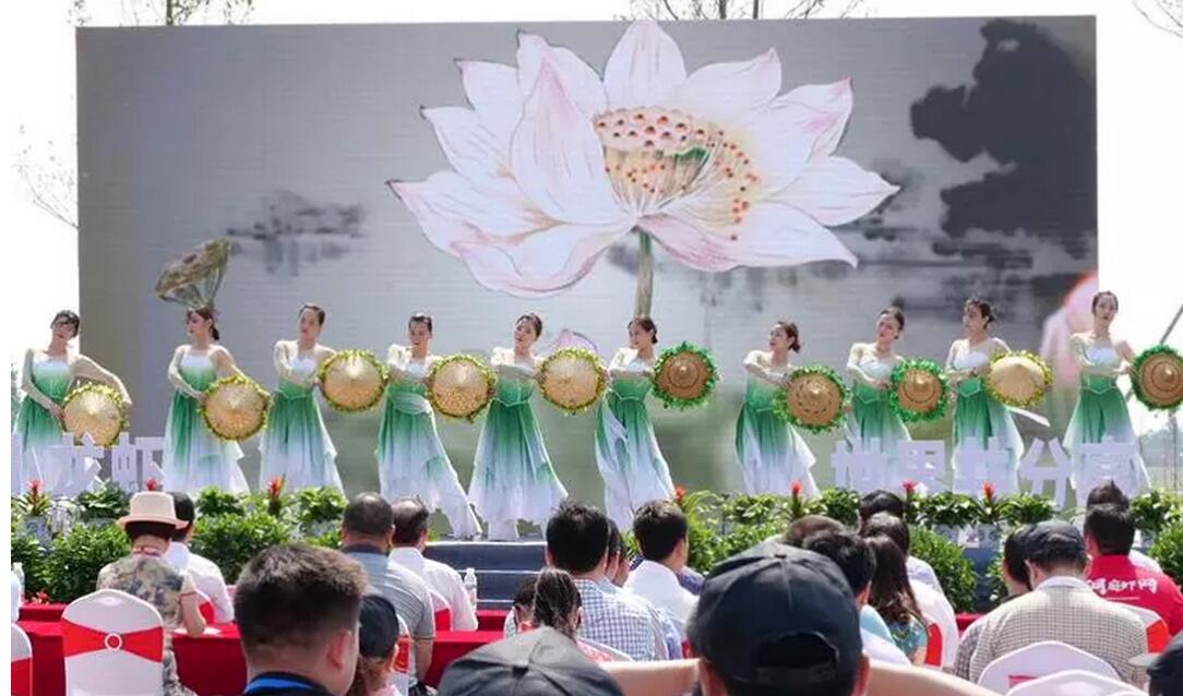 【重磅】全球直播回放│南县首届小龙虾捕捞节暨万人网红直播节圆满落幕！