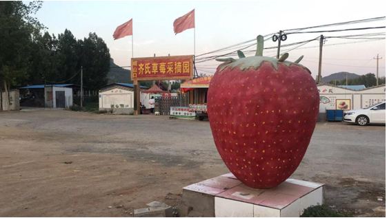 http://img7.g500.cnhttp://img7.g500.cnhttp://img7.g500.cn/upload/49/article/2019/11/17/c3521446-6e30-410b-a267-80a6967cf6c5.png