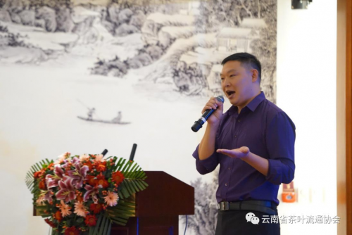 十二块田：在云南省茶叶流通协会双月活动，分享营销新模式
