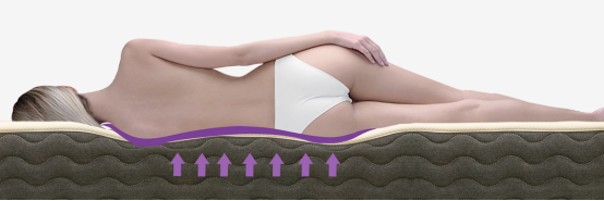 “正棕1号”爆款护脊椰棕床垫新品发布