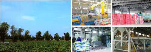 华田盛德有机肥科研创新，成为袁隆平超级稻田的战略合作伙伴