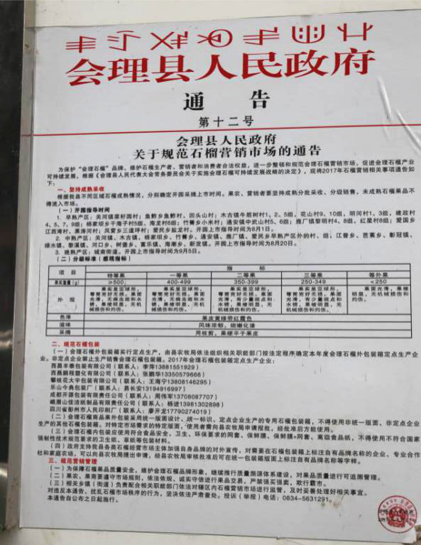 会理石榴即将开拍！农商通深入会理对最后工作部署安排