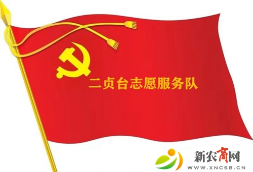 让党旗在“防新冠”中飘扬——记平度市仁兆镇二贞台防疫志愿服务队