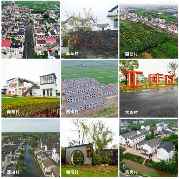 专家视野下的示范村建设 ——全国首份乡村振兴示范村第三方专家评估报告出