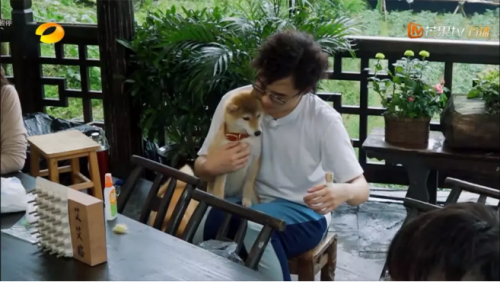 小红书博主种草《向往的生活》同款艾灸器，养生懒癌福音！