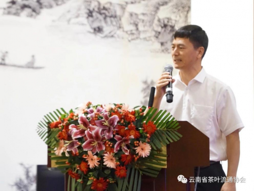 十二块田：在云南省茶叶流通协会双月活动，分享营销新模式