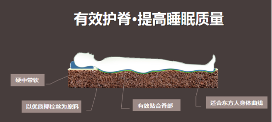 “正棕1号”爆款护脊椰棕床垫新品发布