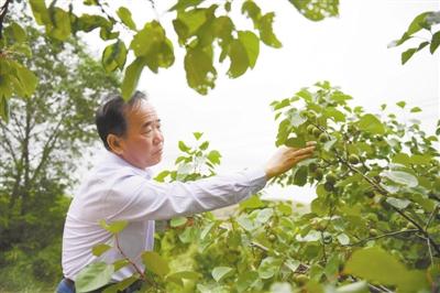 扎根宁夏40年 他给黄土高原披上绿衣