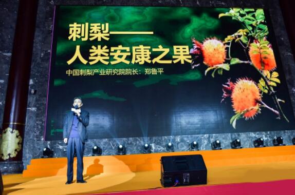 宏财刺力王2020品牌升级迈入国民饮料新阵列