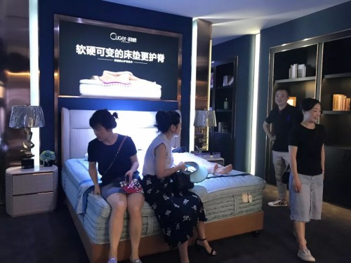 女神赵奕欢助阵双虎7.21，与双虎合力打造理想家居