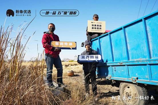 粉象生活步履全国，筹谋为农户