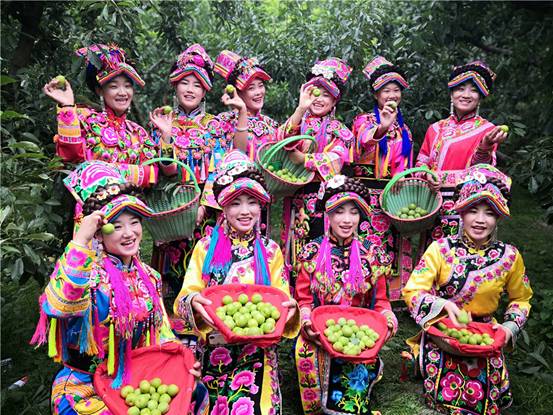 文旅相融 农旅互动 2019第二届茂县李文化旅游节开幕