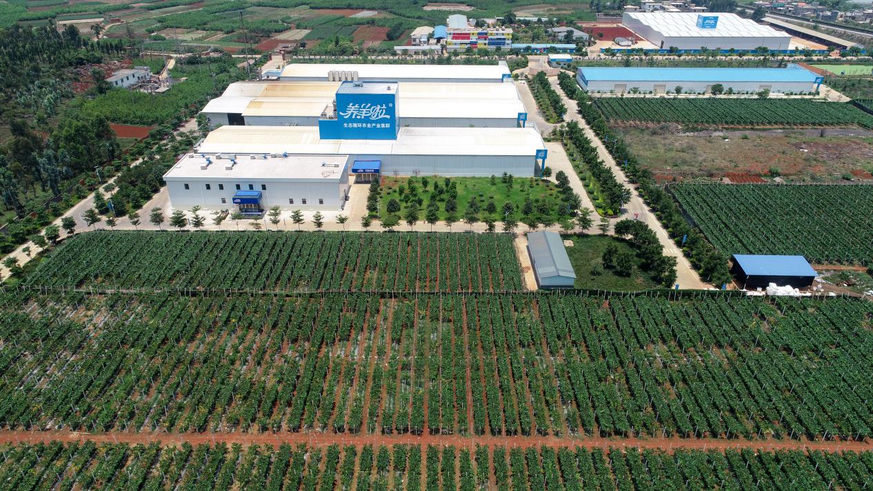 养羊啦十年传奇： 打造羊乳全产业链领导品牌