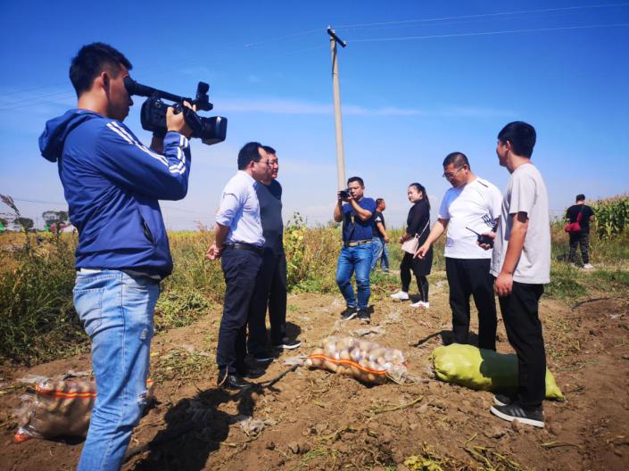 黄金满地，数不胜薯，察右前旗土豆“远嫁”南方