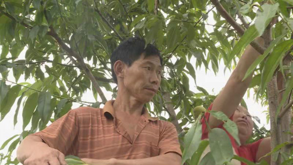 蔡双周：不让“病根”变“穷根”