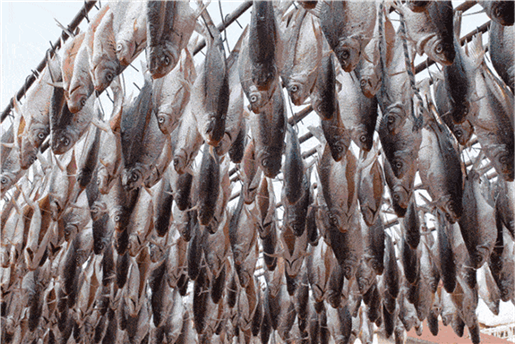 沈阳新东方美食·小雪微寒，以食取暖，拂去冬日的寒意~