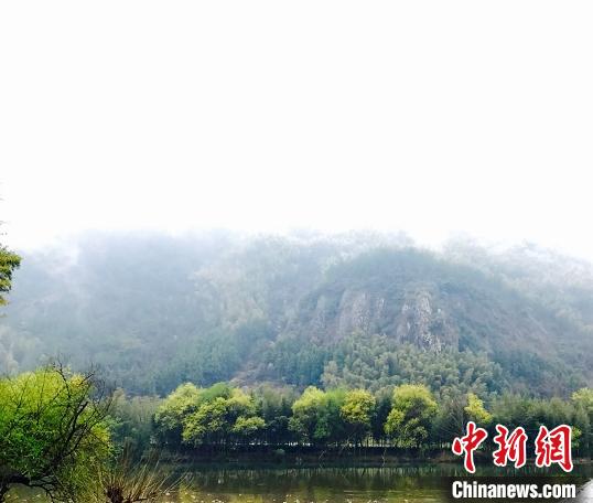 浙江农村指导员筑起“桃花源” 村民点赞“未来可期”