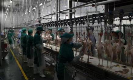 2019八方茂源集团生态农业智能物联网高峰论坛