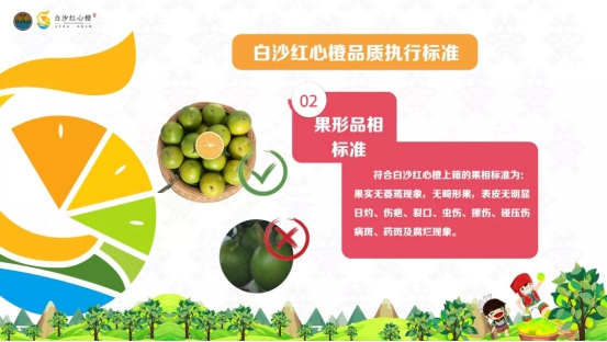 白沙良食 浑然天＂橙＂ 2019年白沙红心橙品牌推介会活动圆满结束！