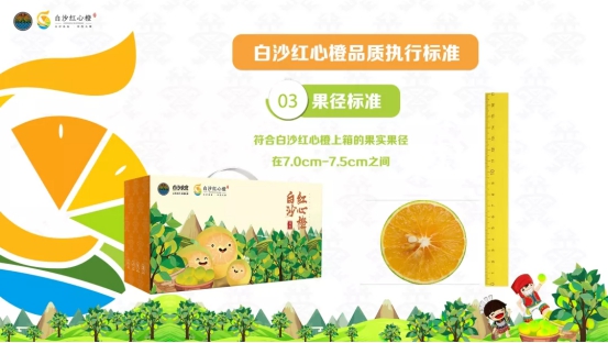 白沙良食 浑然天＂橙＂ 2019年白沙红心橙品牌推介会活动圆满结束！
