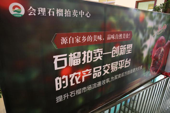 会理石榴即将开拍！农商通深入会理对最后工作部署安排
