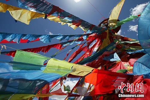 可可西里申遗背后：连续8年未发生藏羚羊盗猎案