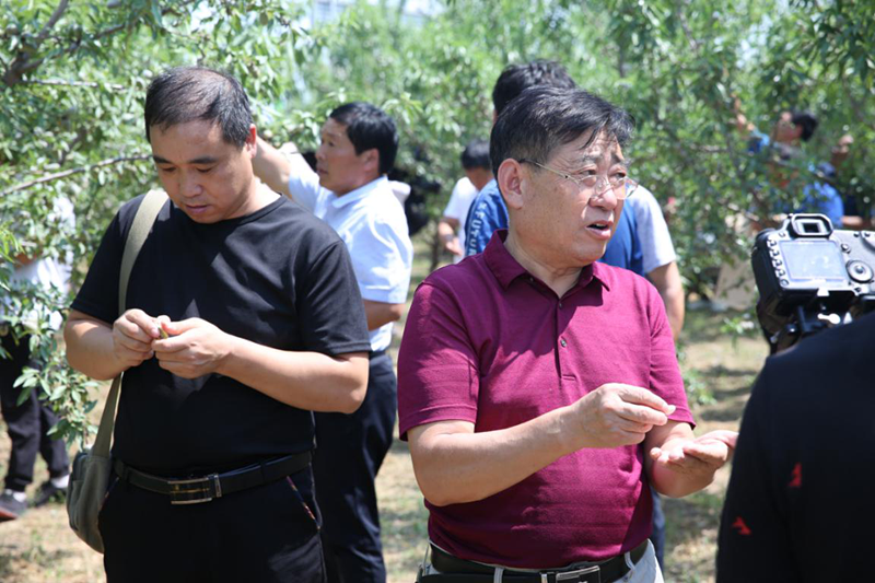 聚五湖四海之宾朋，2019中国巴旦木产业高峰论坛胜利召开