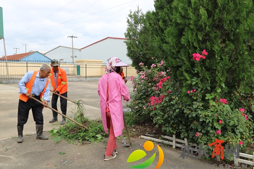 平度市仁兆镇开展清淤志愿服务活动2.JPG