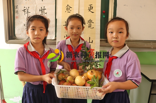 青岛百盛希望小学举行首届石榴采摘节暨教师节庆祝活动
