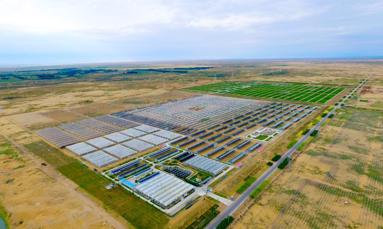 厚植高质量扶贫之路 昌盛日电让脱贫见实效