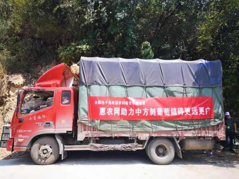 助力中方刺葡萄产销对接 惠农网邀请采购商现场下单