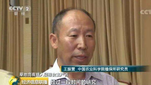 没有天敌的草地贪夜蛾如何防治？草地贪夜蛾首席专家王振营教授这样说