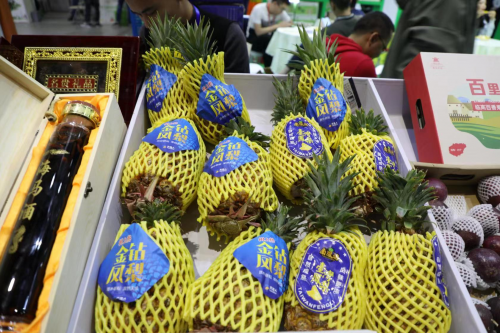 临高电子商务进农村凤梨产业推荐会主会圆满举行