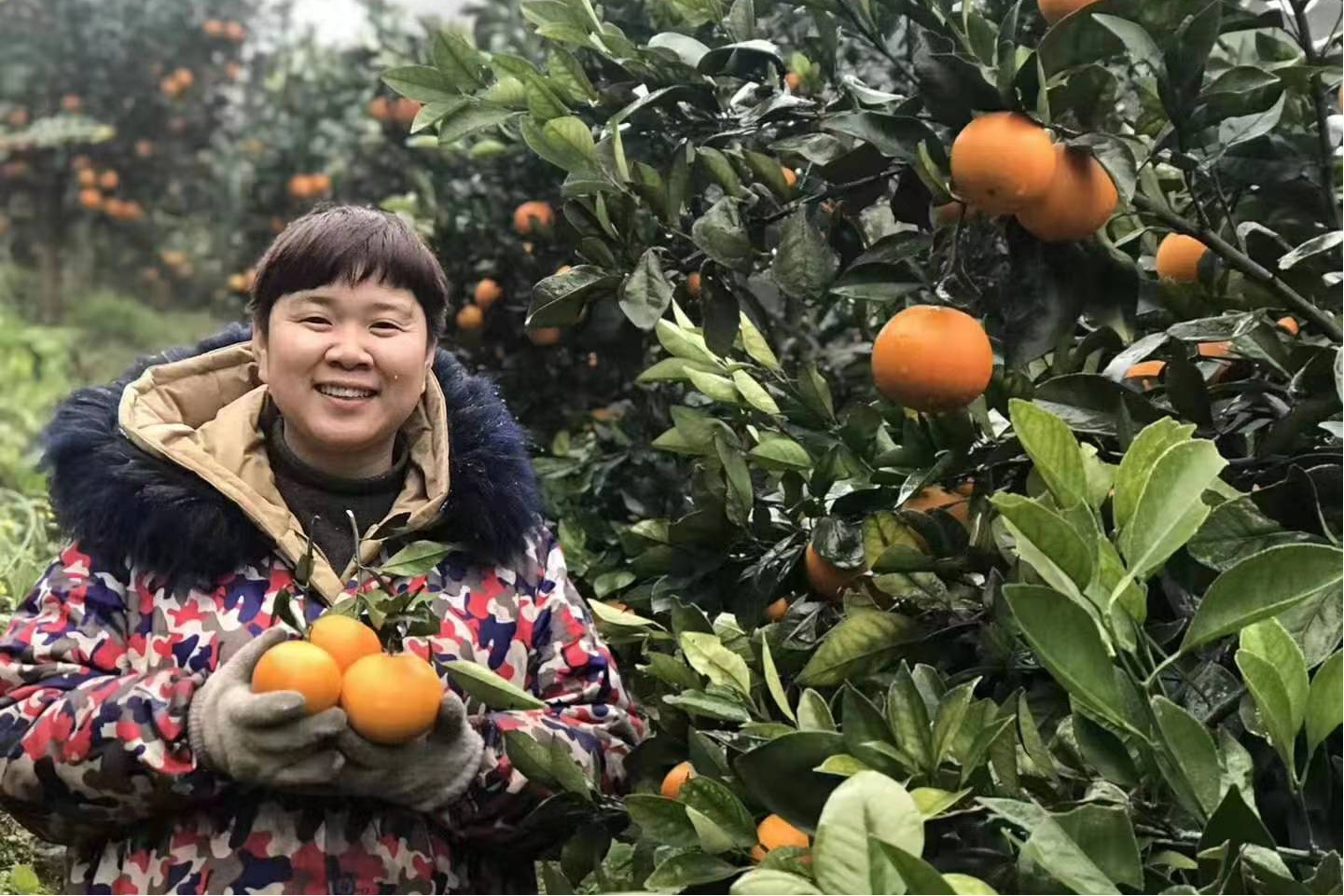 做了近千场培训之后，惠农网到底给农村留下了什么