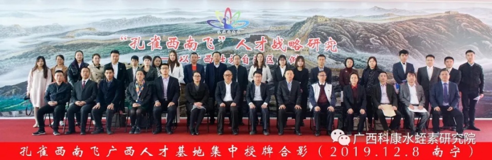 科康吹响孔雀西南飞的号角 