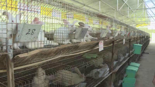 刘德富：政策帮扶入人心 脱贫致富有信心