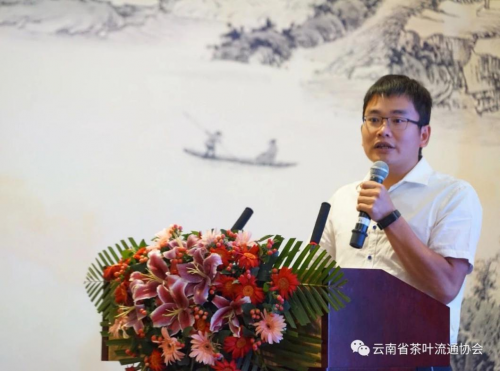 十二块田：在云南省茶叶流通协会双月活动，分享营销新模式