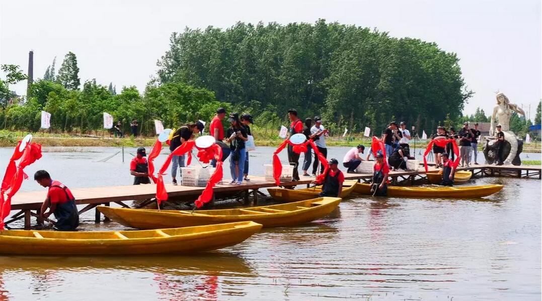 【重磅】全球直播回放│南县首届小龙虾捕捞节暨万人网红直播节圆满落幕！