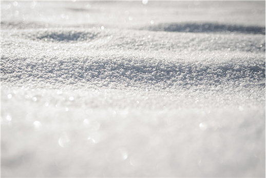沈阳新东方美食·小雪微寒，以食取暖，拂去冬日的寒意~