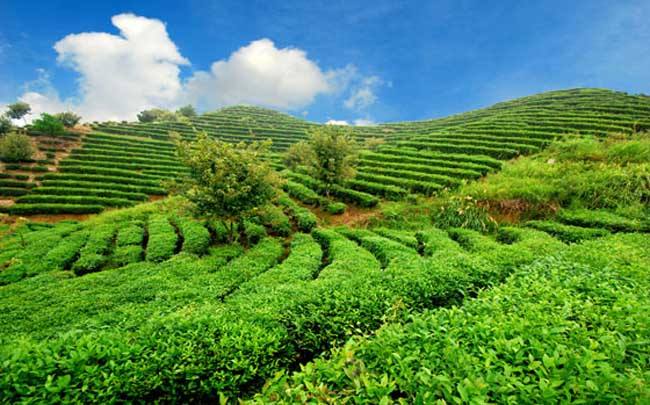 香港众裕集团质量有保障，令人更放心