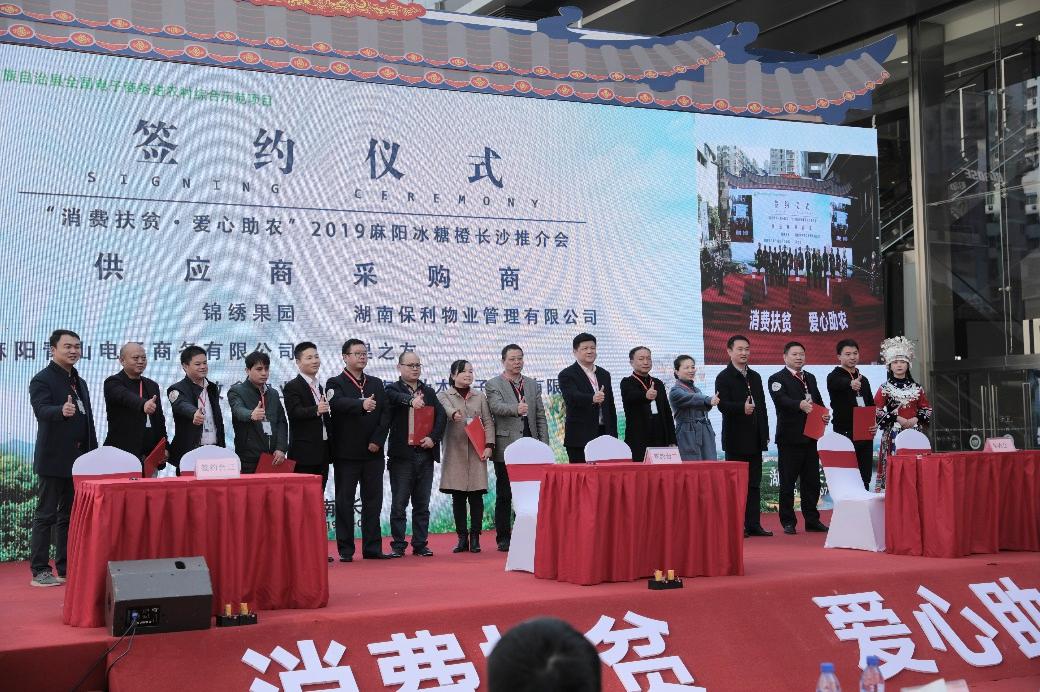消费扶贫 爱心助农 2019麻阳冰糖橙长沙推介会火热启动