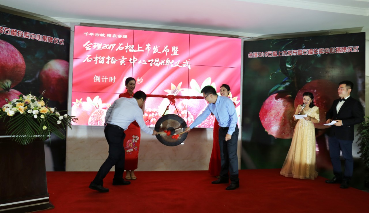 “会理石榴拍卖中心”揭牌仪式顺利举行