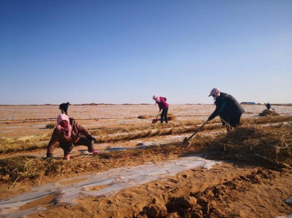 甘肃省武威市古浪县探索一条“玫瑰”之路