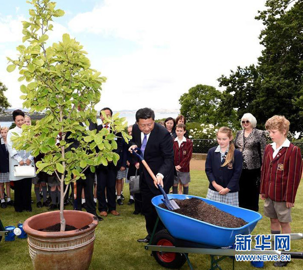 习主席种下的友谊树