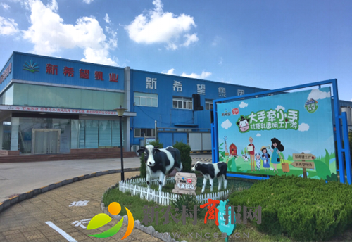 新希望琴牌乳业助力2019青岛帆船周·海洋节——鲜活品质滋养海的儿女
