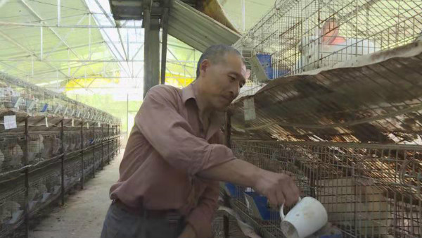 刘德富：政策帮扶入人心 脱贫致富有信心