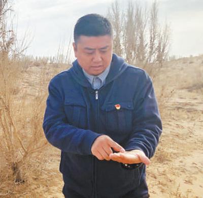 他从编代码到治黄沙 12年来种下近4万亩梭梭树