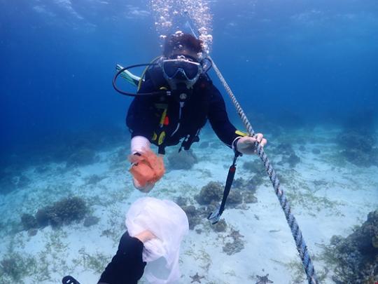 “从陆生到海生” 潜水成90后度假解压新方式